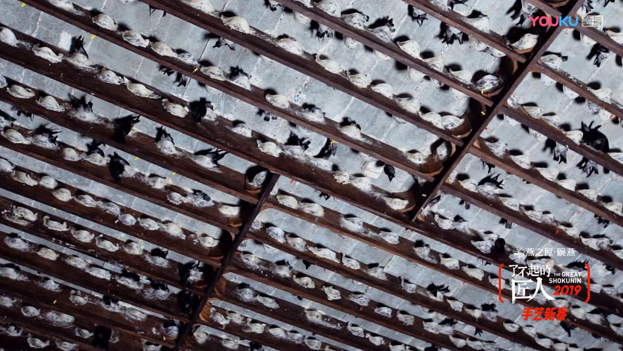 WG����(�й���)-�ٷ���վ