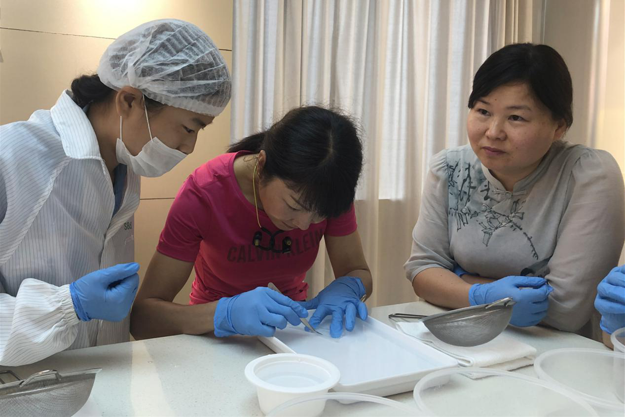 WG����(�й���)-�ٷ���վ