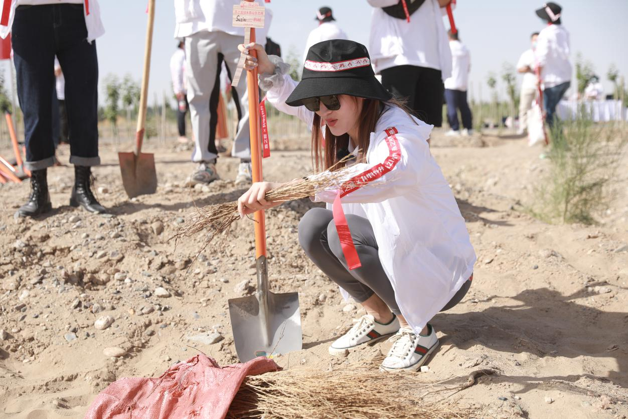 WG����(�й���)-�ٷ���վ