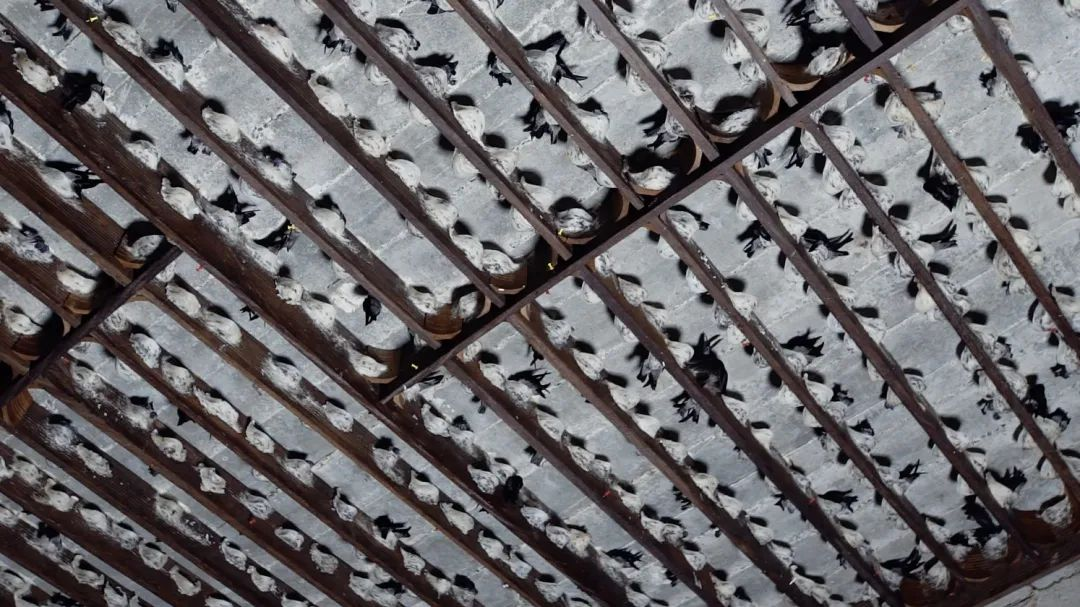 WG����(�й���)-�ٷ���վ