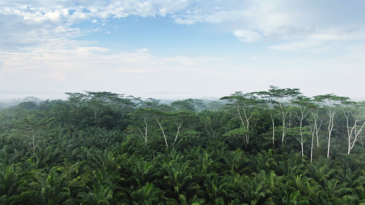 WG����(�й���)-�ٷ���վ