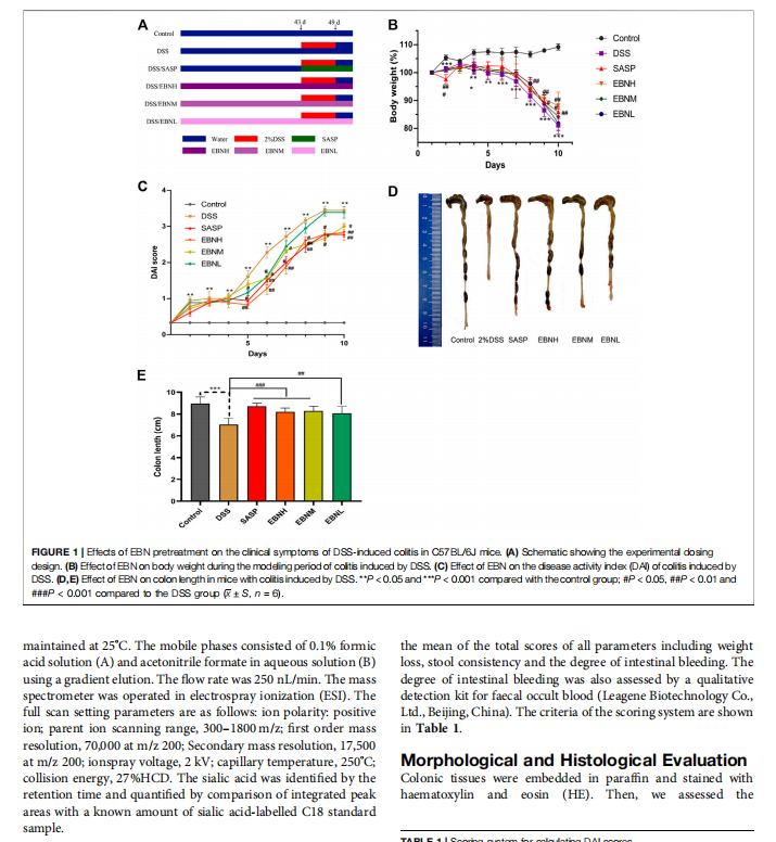 WG����(�й���)-�ٷ���վ