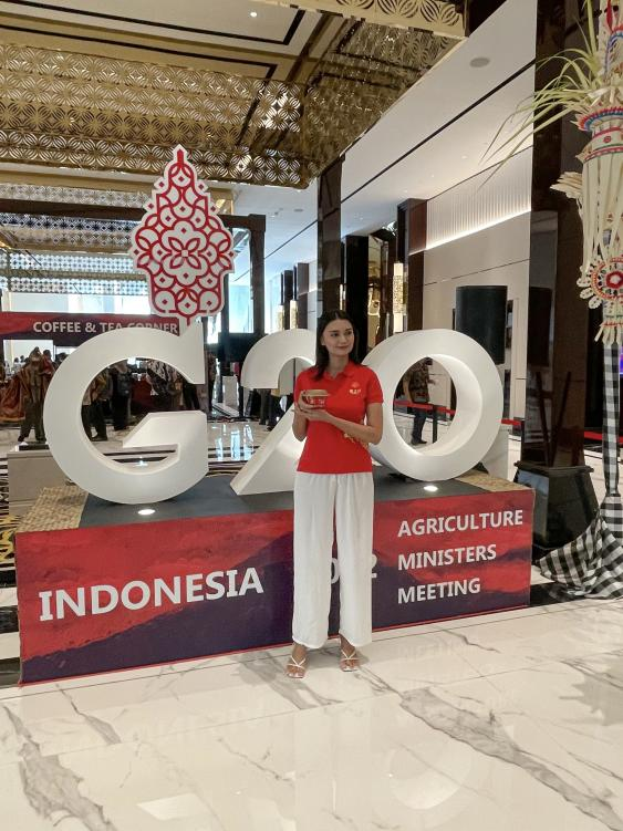 WG����(�й���)-�ٷ���վ