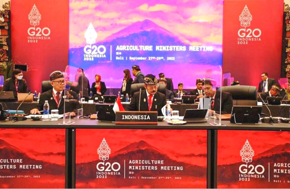 WG����(�й���)-�ٷ���վ