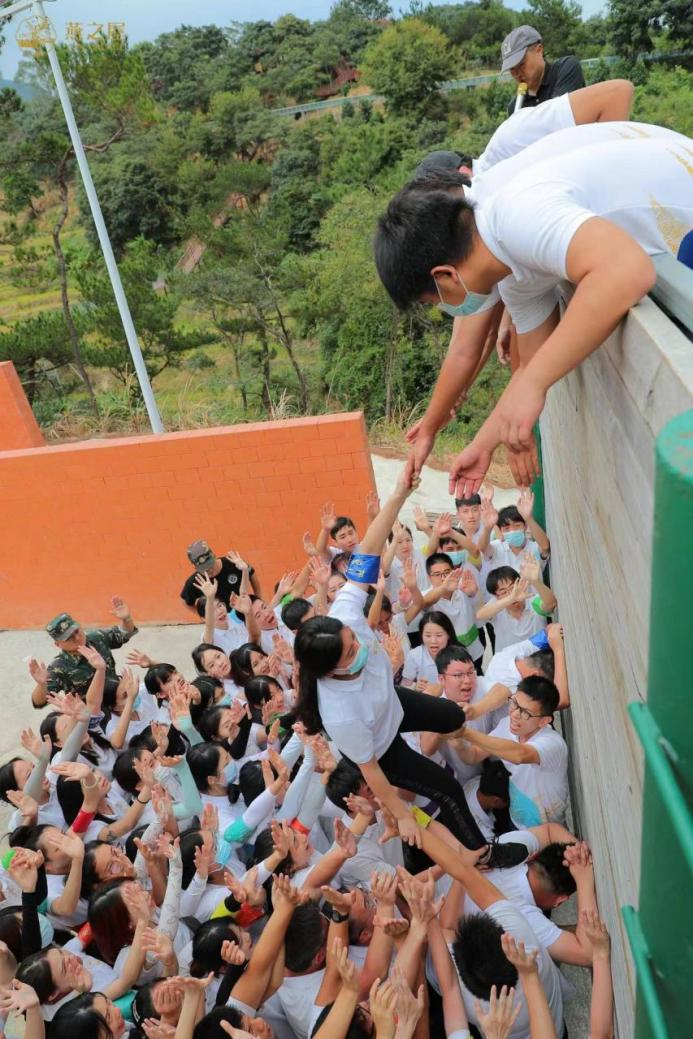 WG����(�й���)-�ٷ���վ