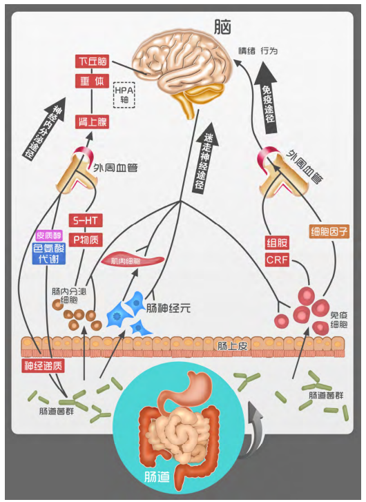 WG����(�й���)-�ٷ���վ