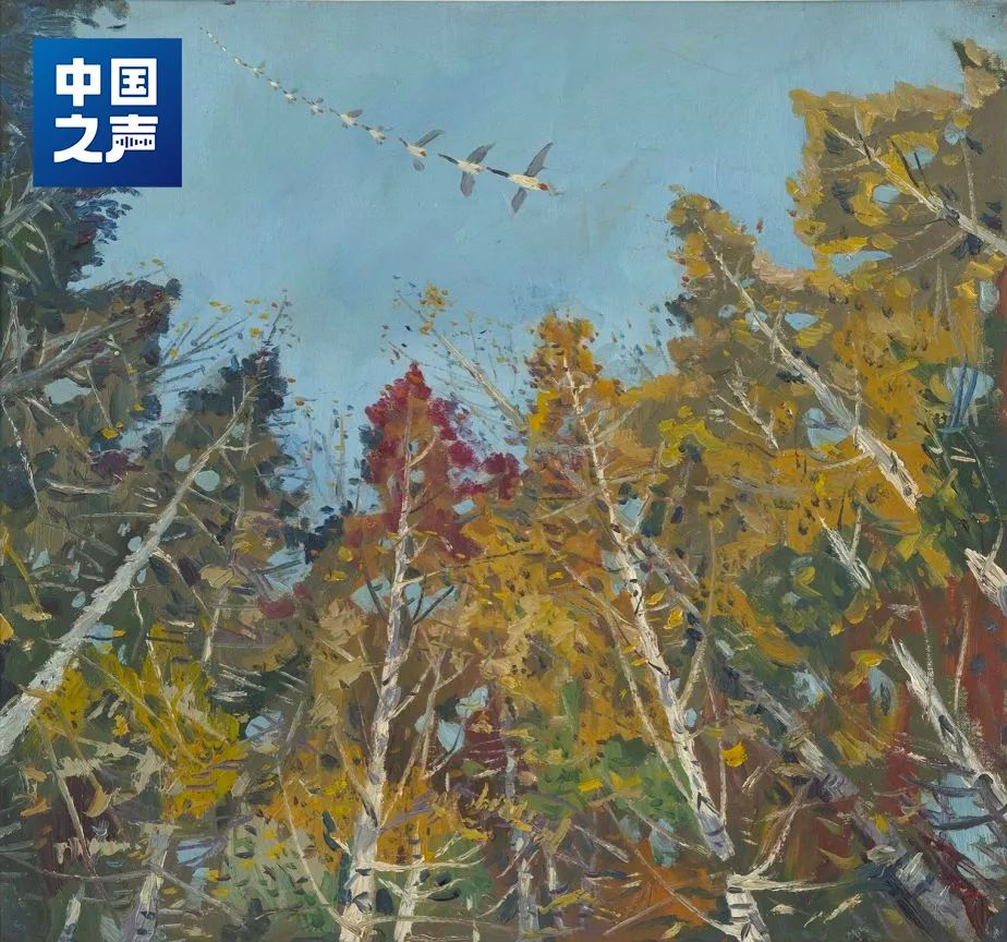 WG����(�й���)-�ٷ���վ