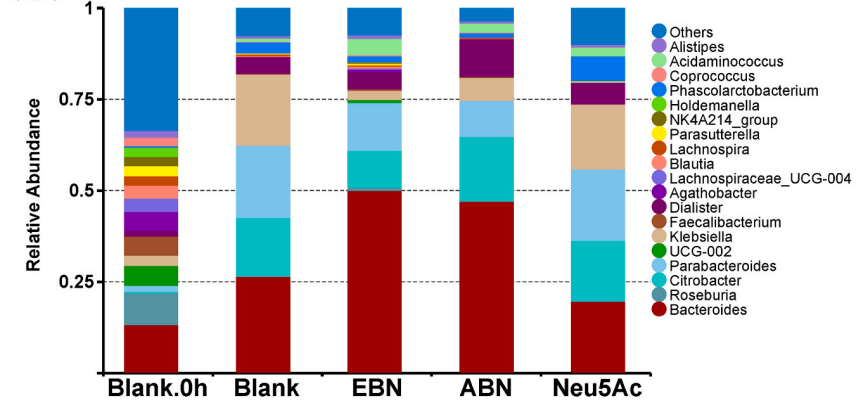 WG����(�й���)-�ٷ���վ
