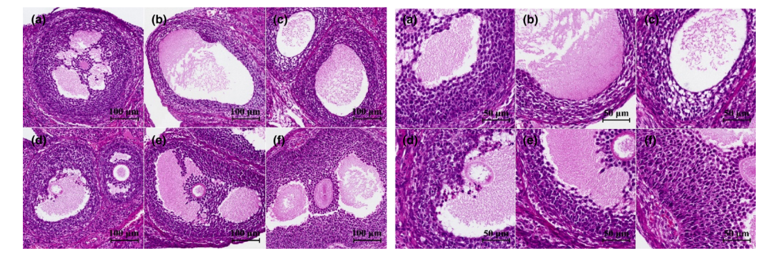 WG����(�й���)-�ٷ���վ