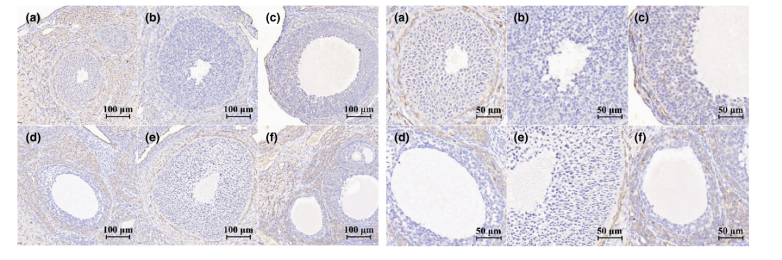 WG����(�й���)-�ٷ���վ