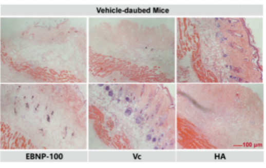 WG����(�й���)-�ٷ���վ