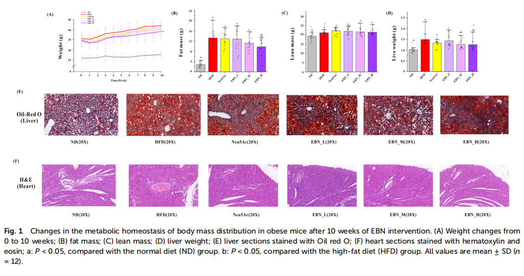 WG����(�й���)-�ٷ���վ