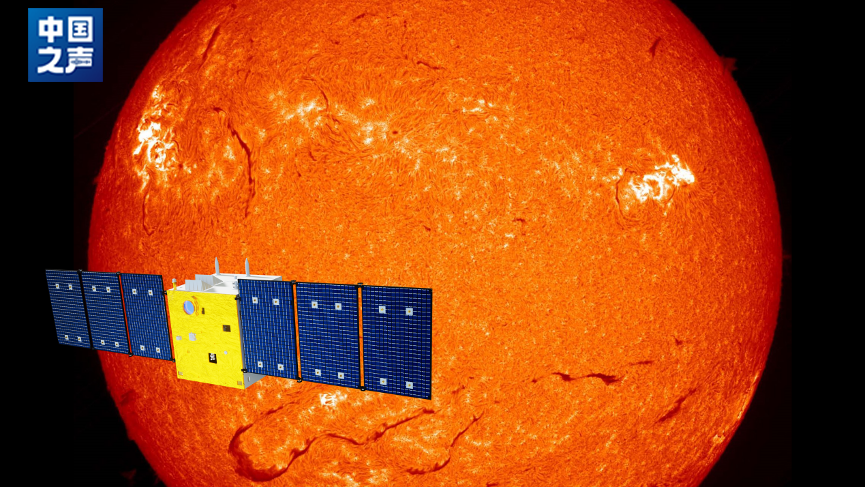 WG����(�й���)-�ٷ���վ