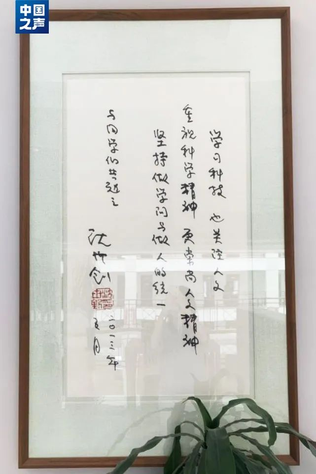 WG����(�й���)-�ٷ���վ