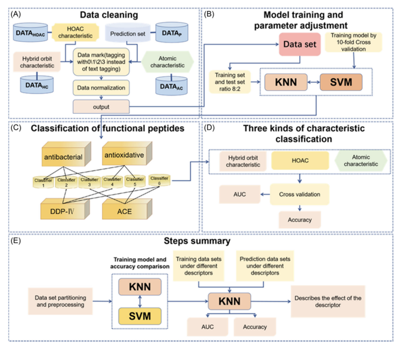 WG����(�й���)-�ٷ���վ