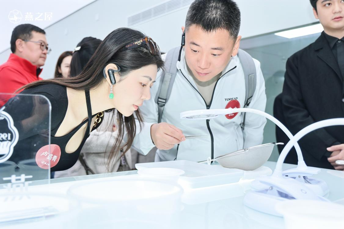 WG����(�й���)-�ٷ���վ