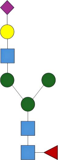 WG����(�й���)-�ٷ���վ