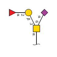 WG����(�й���)-�ٷ���վ