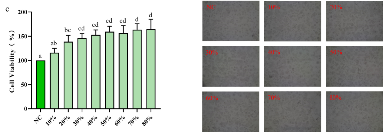 WG����(�й���)-�ٷ���վ