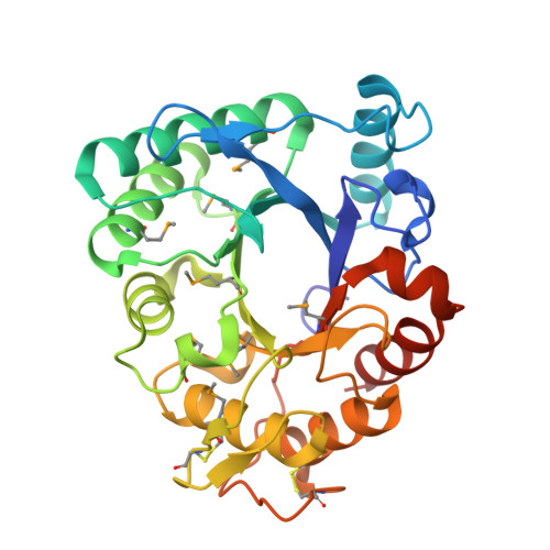 WG����(�й���)-�ٷ���վ