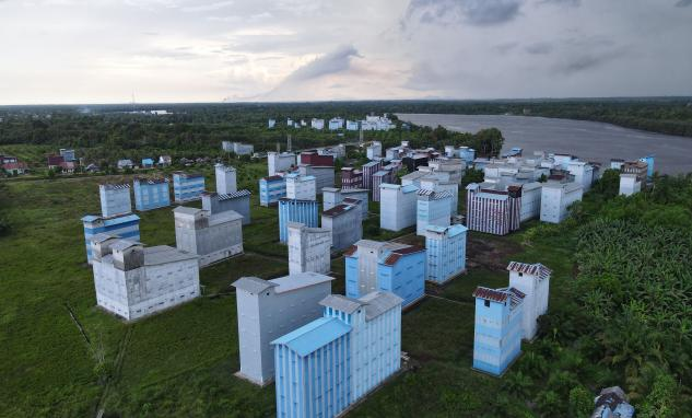 WG����(�й���)-�ٷ���վ