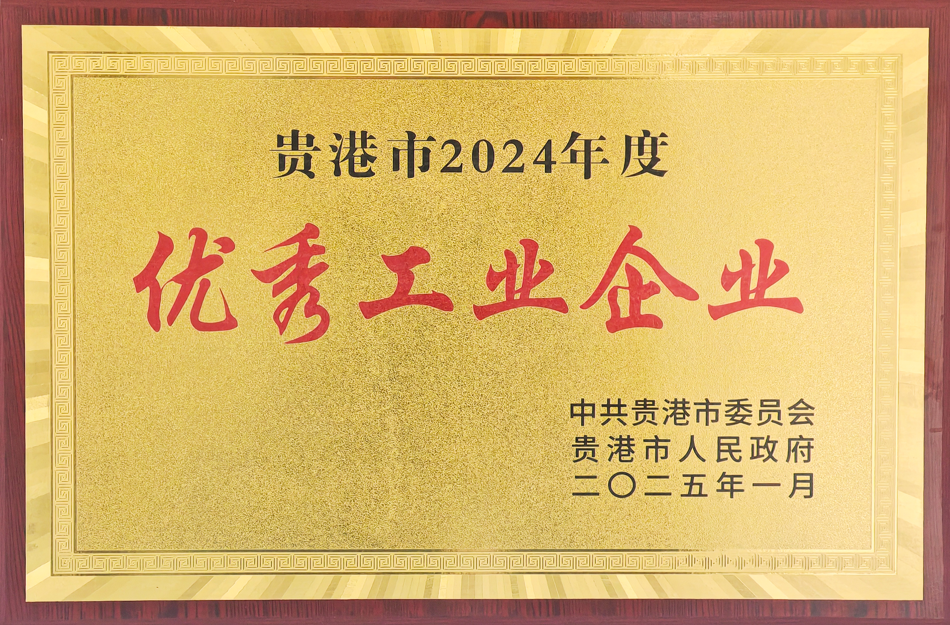 6966集团-不凡成就非凡,相信品牌的力量