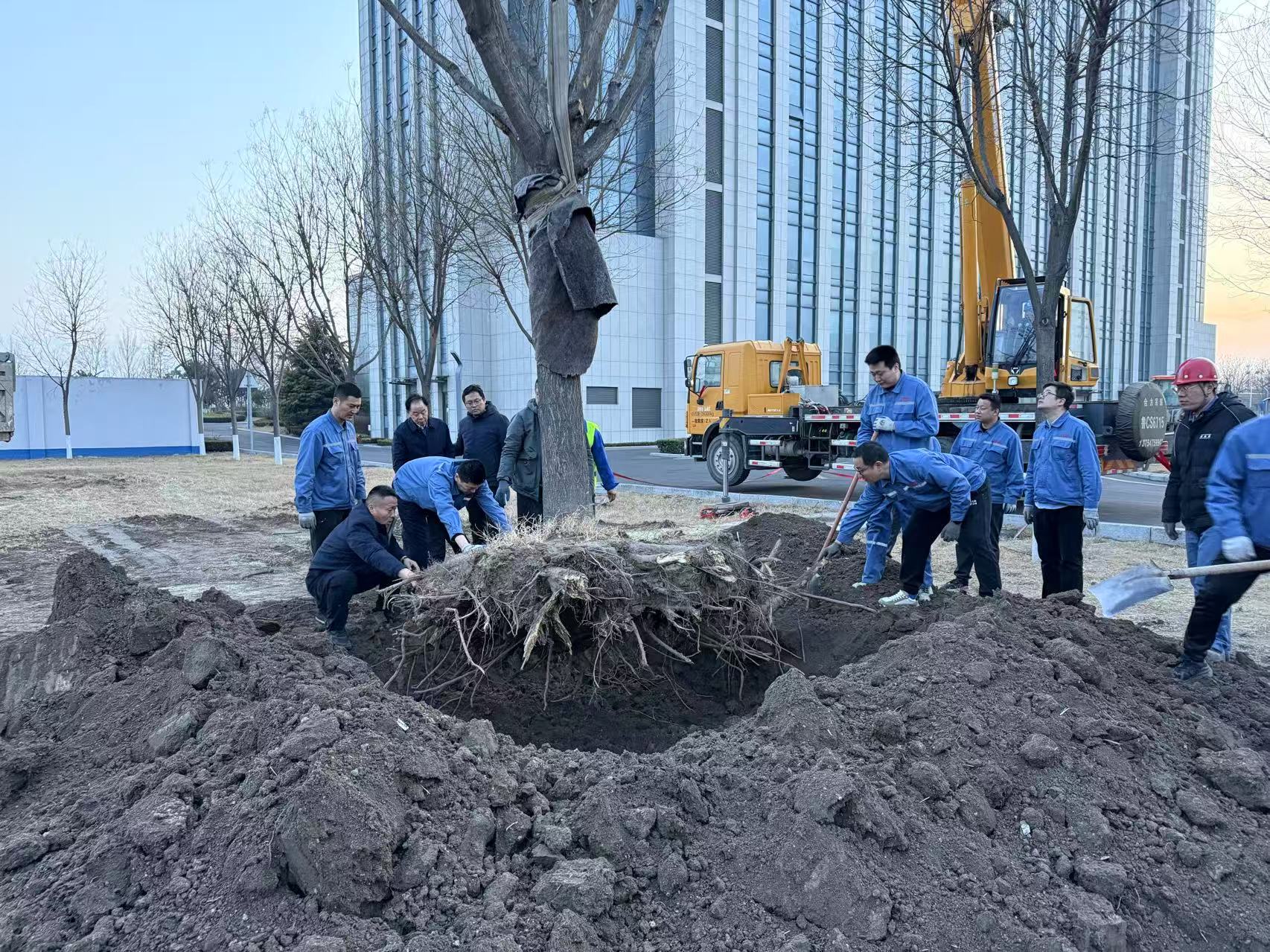 2025年3月1日6966集团干部职工合力栽下新春第一树